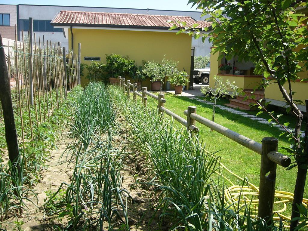Bed and Breakfast Nonna Alda Viareggio Zimmer foto