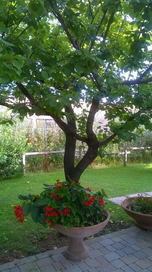 Bed and Breakfast Nonna Alda Viareggio Zimmer foto